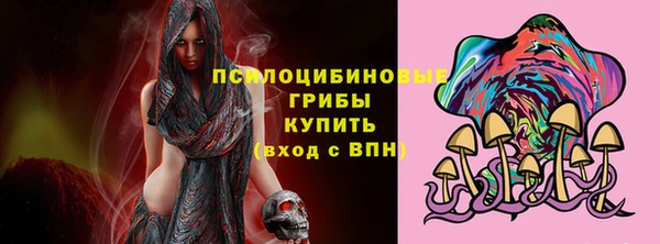 мдпв Волоколамск
