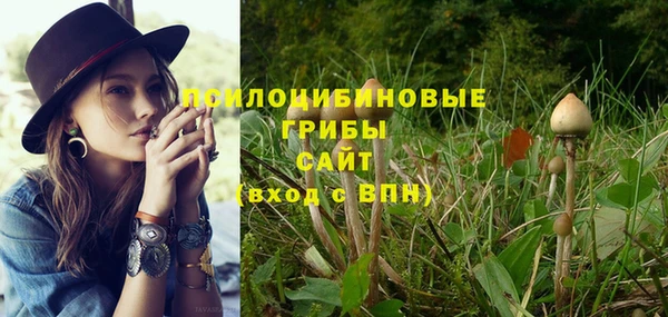 прущие крисы Вяземский