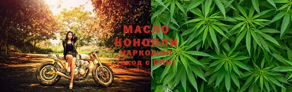 МДПВ Бородино