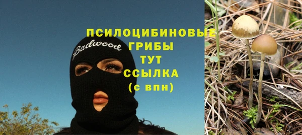 прущая мука Вязьма